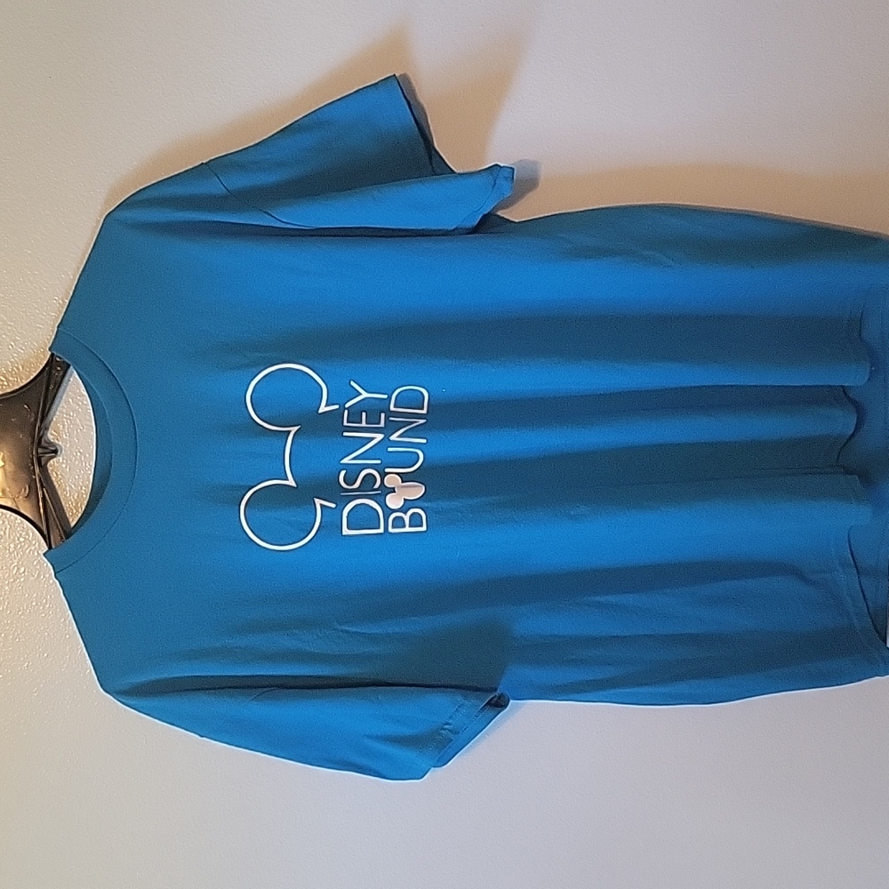 Mens Gildan Disney bound tee. Xl